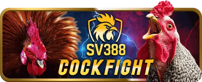 Đội tuyển Esports đang tập trung thi đấu trong giải đấu lớn